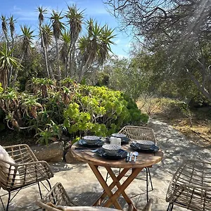 Divers House Appartement Agrari (Mykonos)